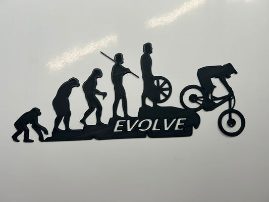 MTB Evolution