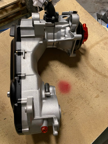 Motor Reinigung + Lackierung