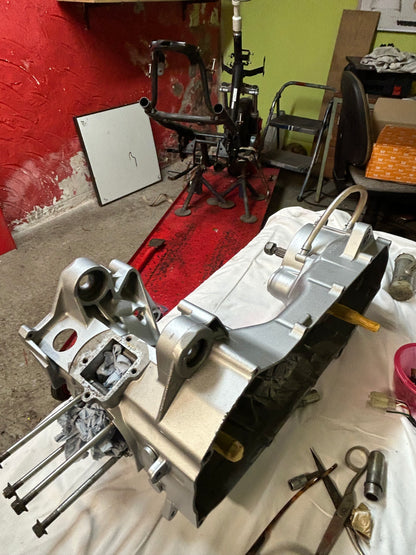 Motor Reinigung + Lackierung